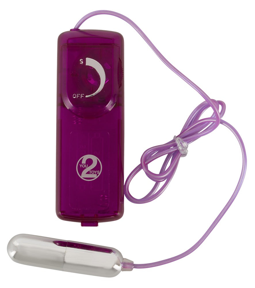 Surprise Surprise Sex Toy Set You2Toys - Kit de 12 Piezas para Parejas