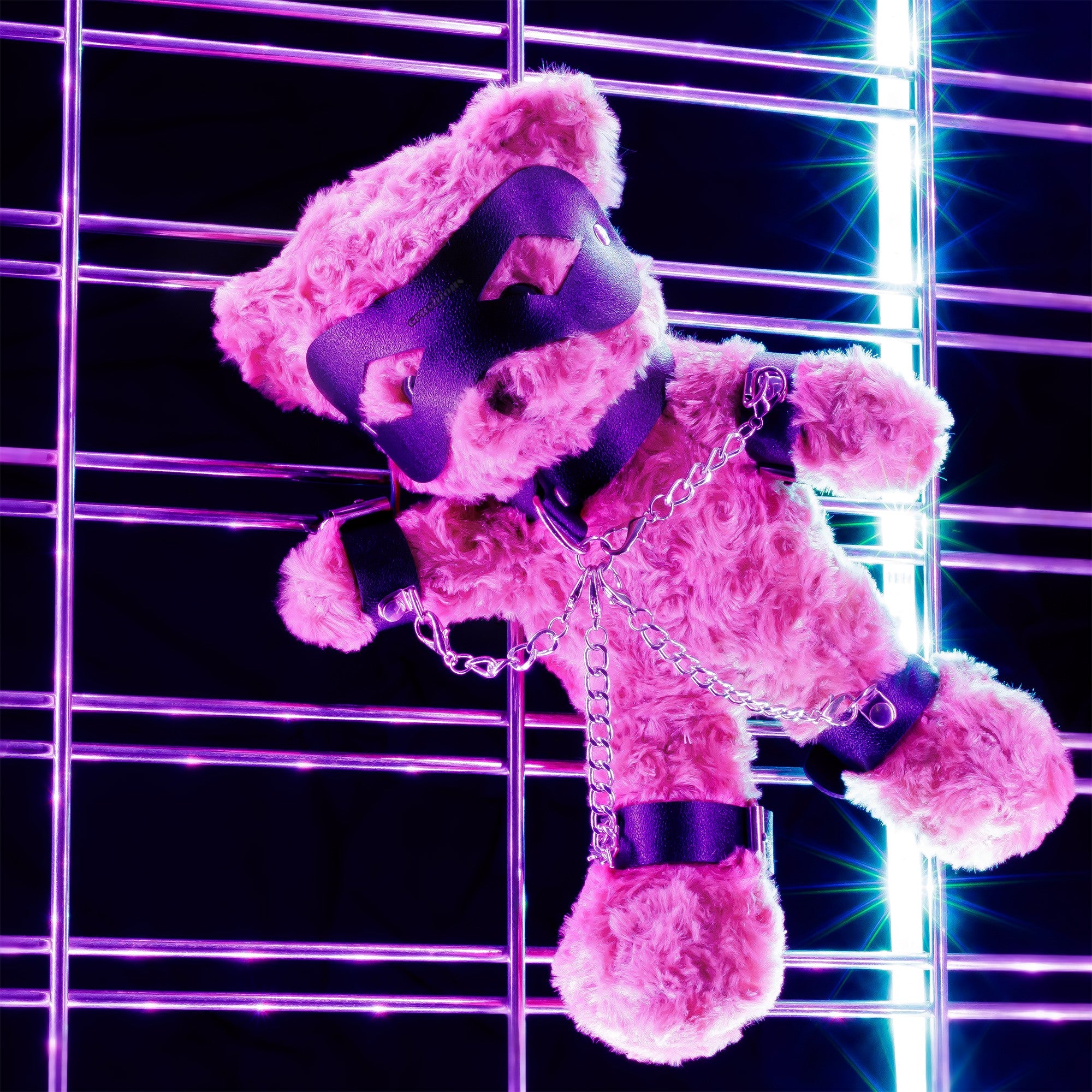 OSO TEDDY BONDAGE CRUSHITO NEGRO 31CM CRUSHIOUS