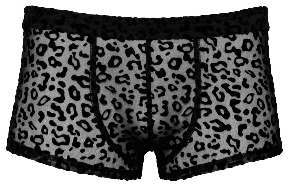 Noir M.Pants Leo 2XL - Pantalones Transparentes con Estampado Leopardo