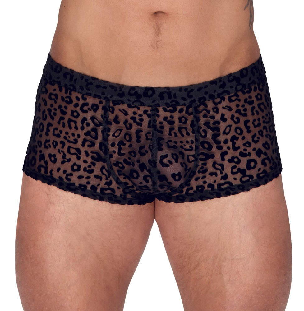 Noir M.Pants Leo 2XL - Pantalones Transparentes con Estampado Leopardo
