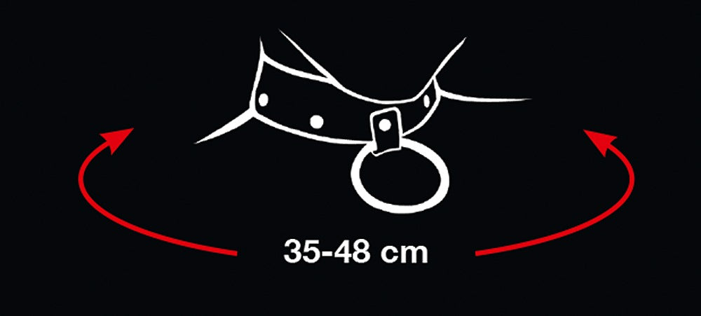 Collar y Correa Bad Kitty - Cuero Negro con Cadena