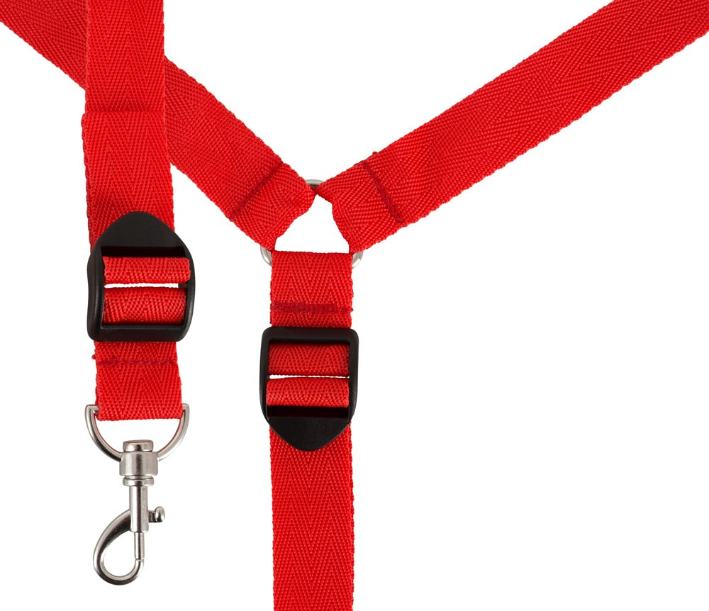 Bad Kitty Bed Restraint Set - Sistema de Bondage para Cama