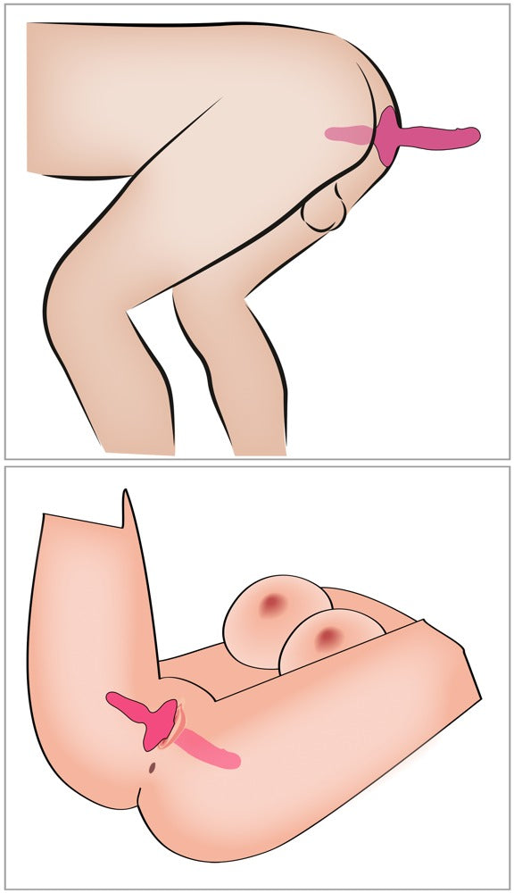 Couples Choice 2in1 Vibrador y Plug Anal - Doble Placer con 10 Modos