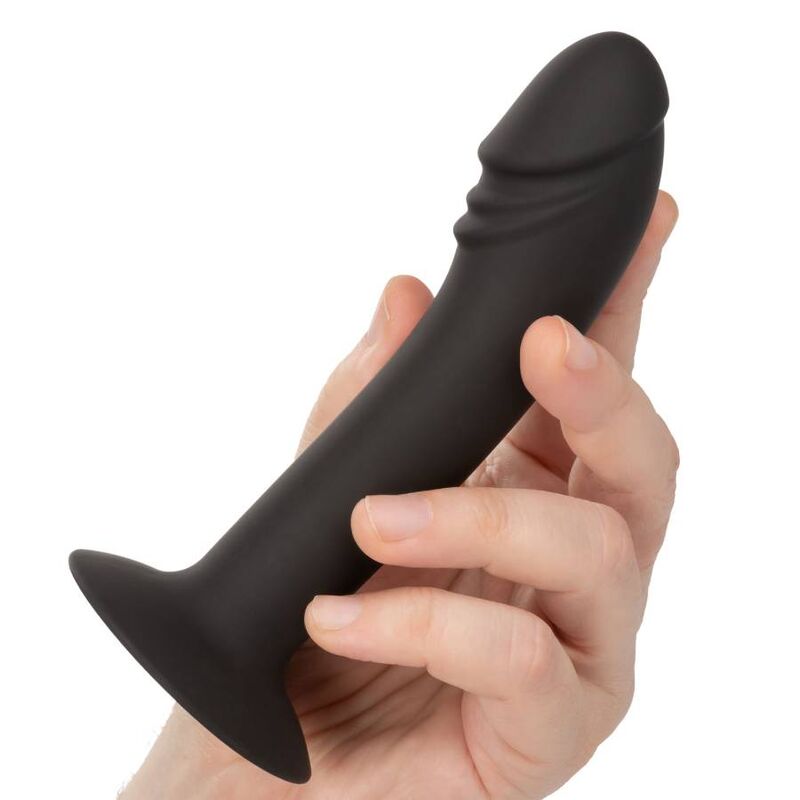 CalExotics Curved Anal Stud