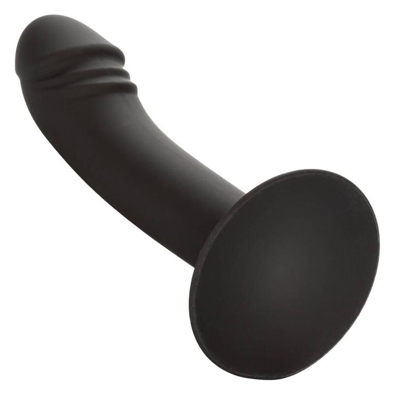 CalExotics Curved Anal Stud