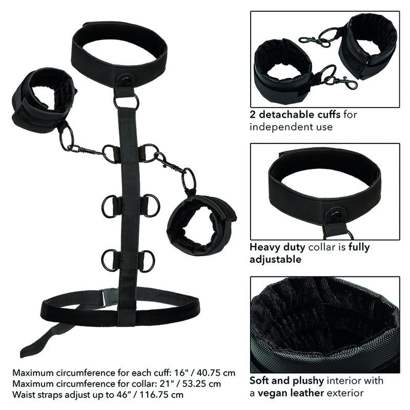 CalExotics Boundless Collar Body Restraint - Sistema de Sujeción BDSM