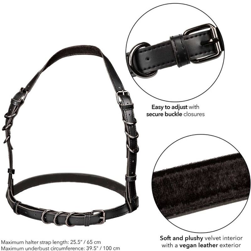CalExotics Euphoria Halter Buckle Harness - Arnés Premium en Cuero Vegano