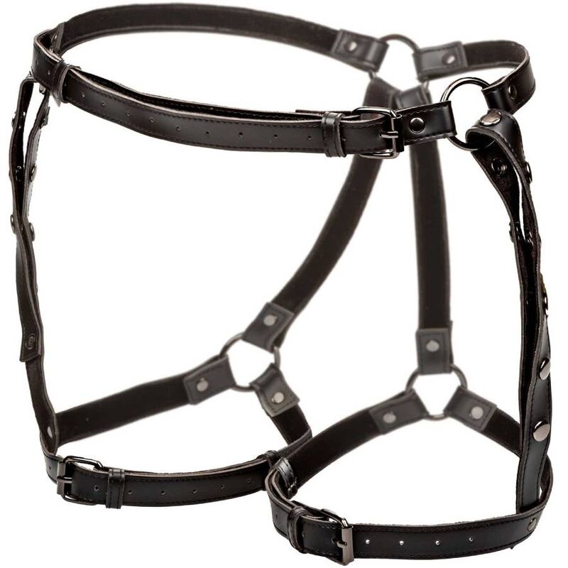 CalExotics Euphoria Plus Size Riding Thigh Harness - Arnés Premium Ajustable