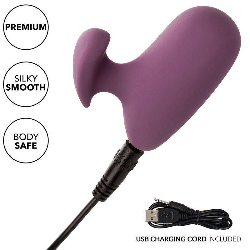 CalExotics Mod Touch Stimulator Purple