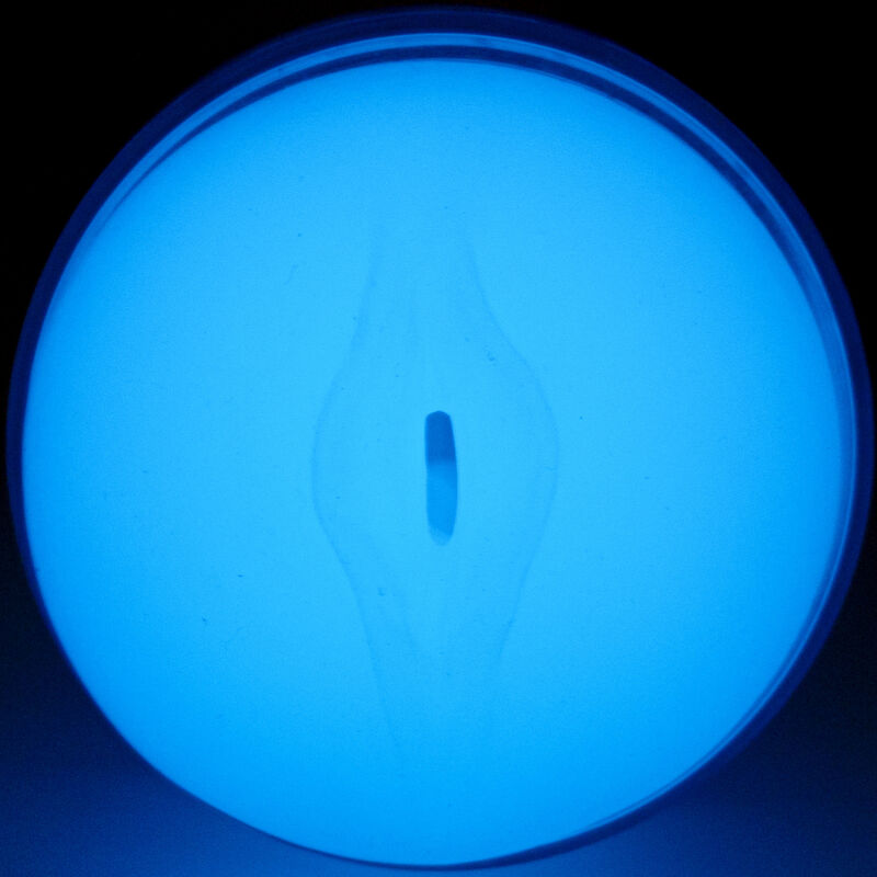 KIIROO Feel Glow in the Dark Stroker - Acariciador Luminiscente