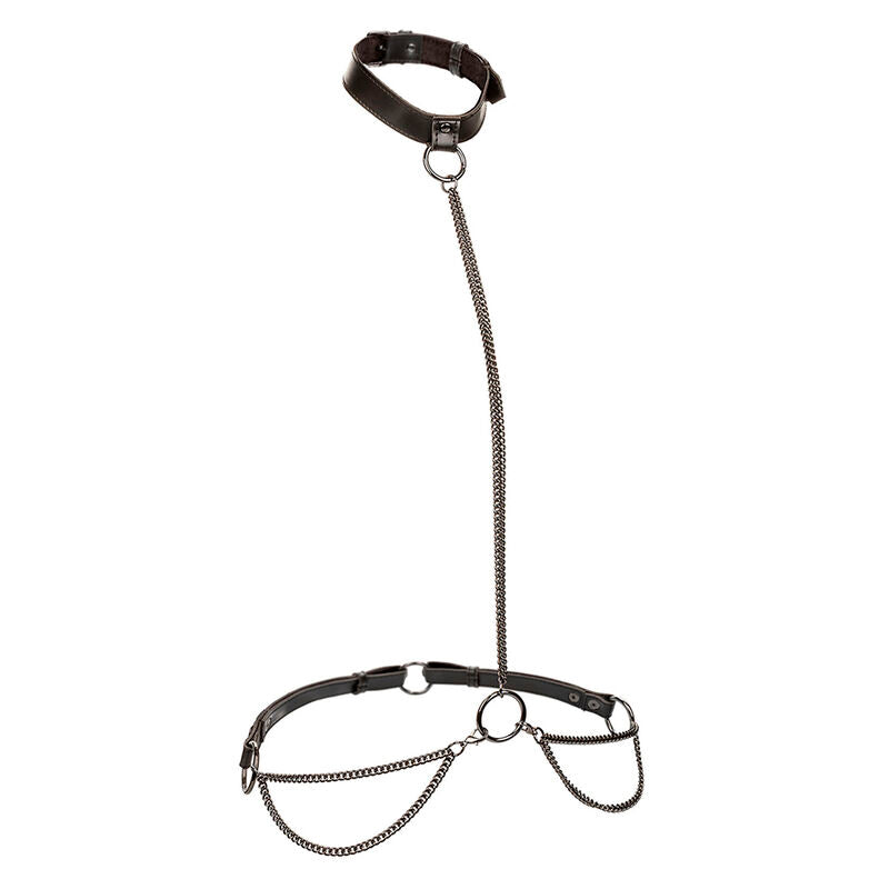 Euphoria Chain Halter Collar & Leash Plus Size - CalExotics