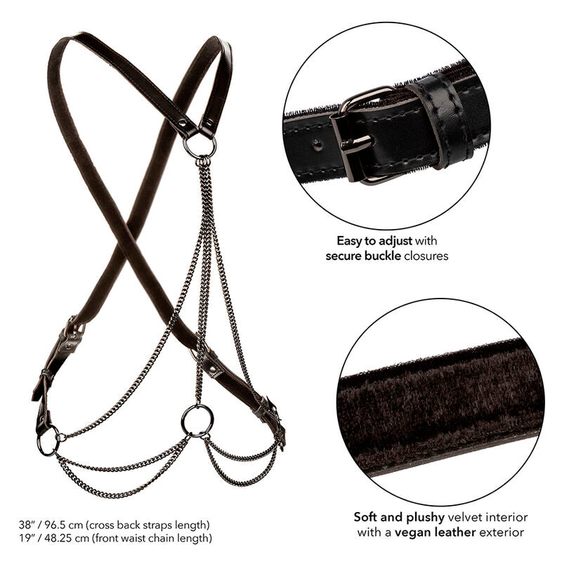 CalExotics Euphoria Multichain Harness Premium Plus Size