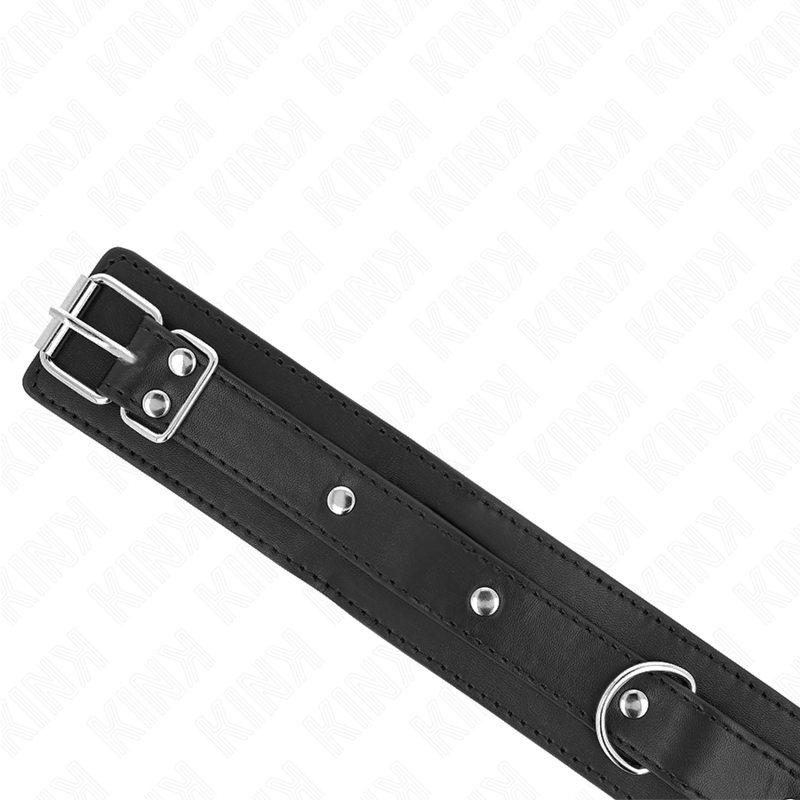 Collar KINK con Correa 65 cm - Anilla Ajustable 38-49 cm