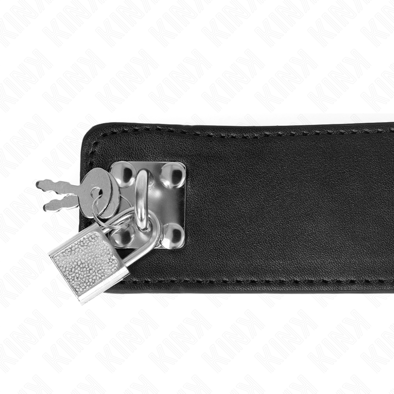 Collar con Correa Ajustable KINK - 65 cm Modelo 3 Negro