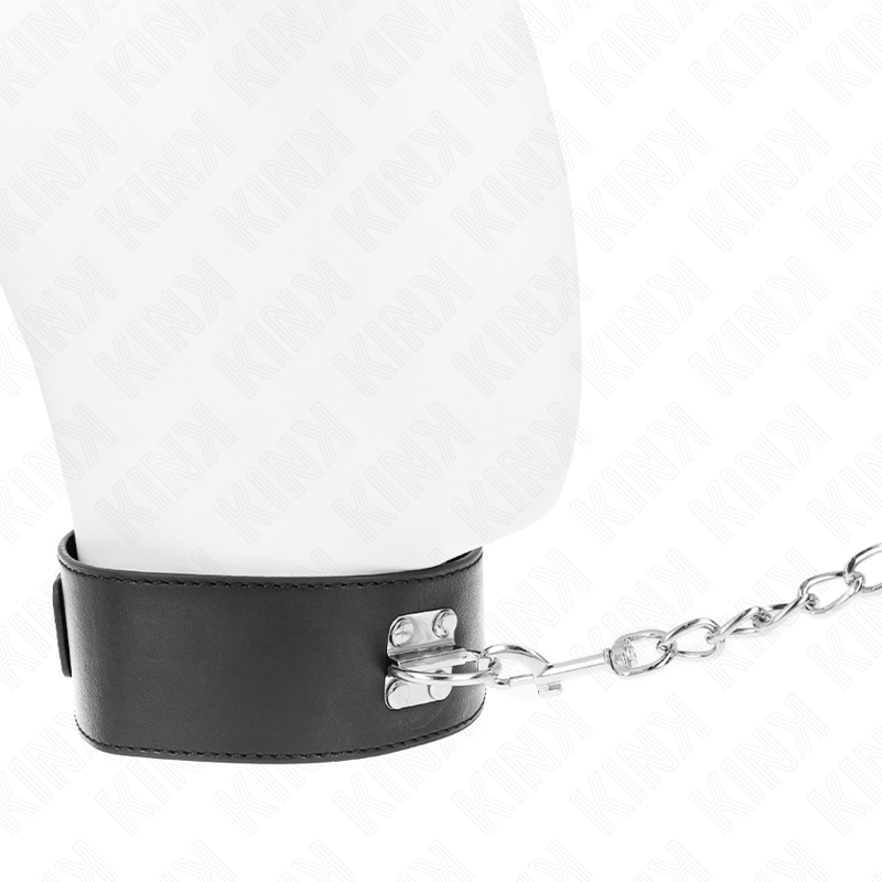 Collar KINK Basic Model con Correa 65 cm - Cuero y Metal