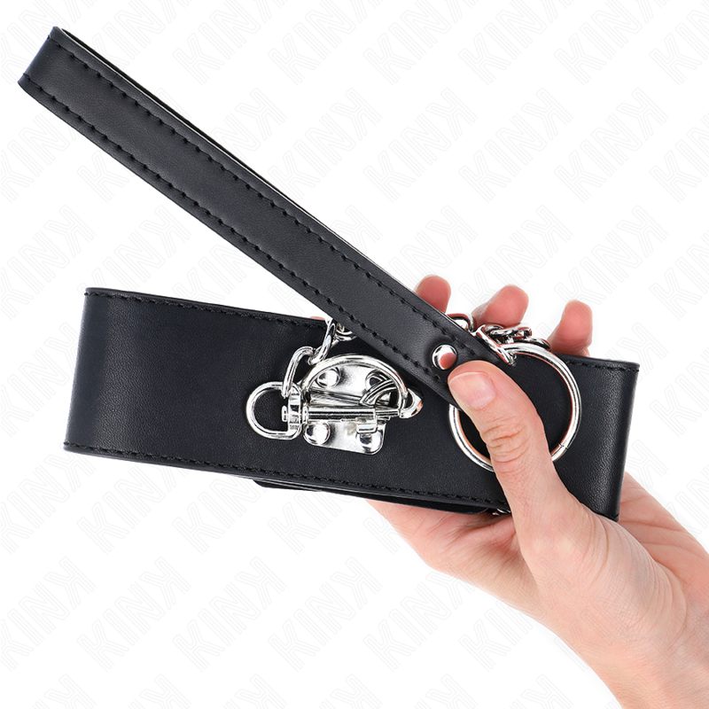 Collar KINK Basic Model con Correa 65 cm - Cuero y Metal