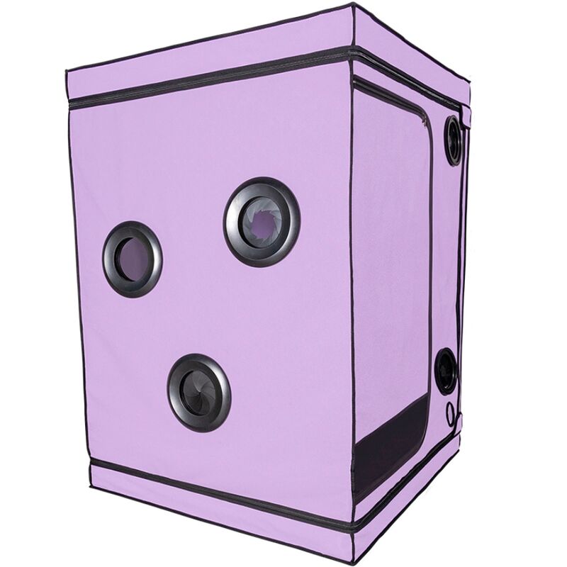 Secret Dome Kink Club Cabin Scandale Purple - Cabina de Juego Erótico
