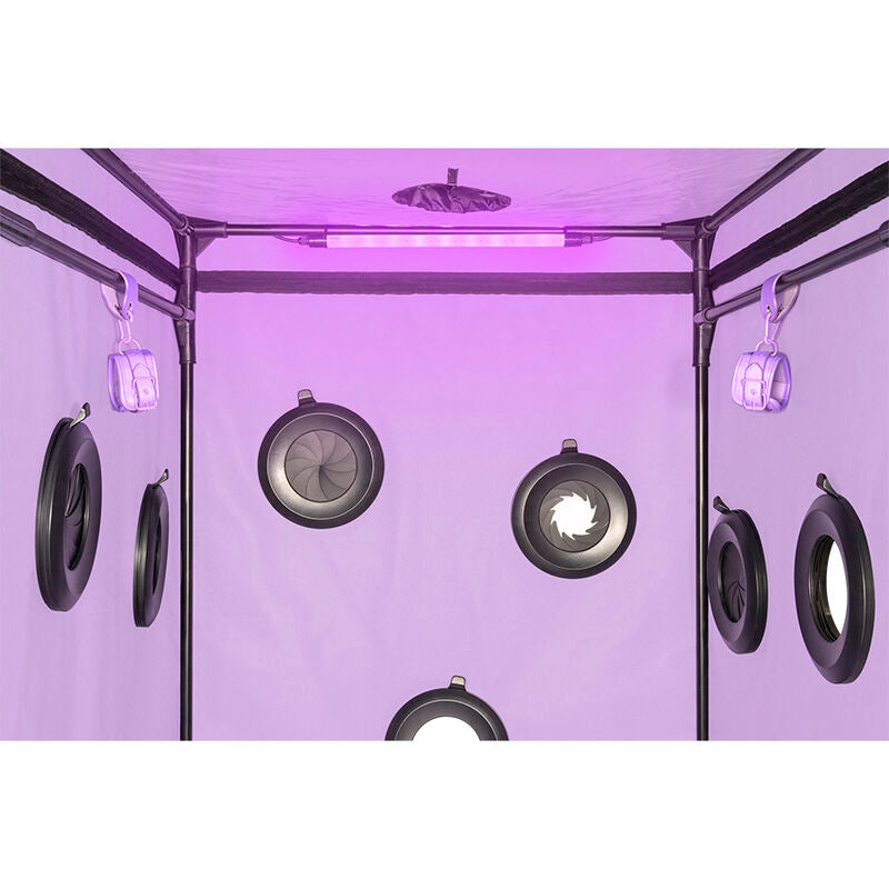 Secret Dome Kink Club Cabin Scandale Purple - Cabina de Juego Erótico