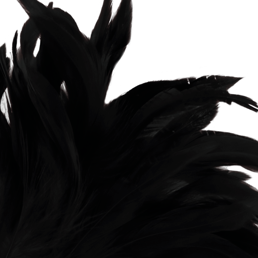 Darkness Black Lux - Pluma Estimuladora de Lujo para Principiantes
