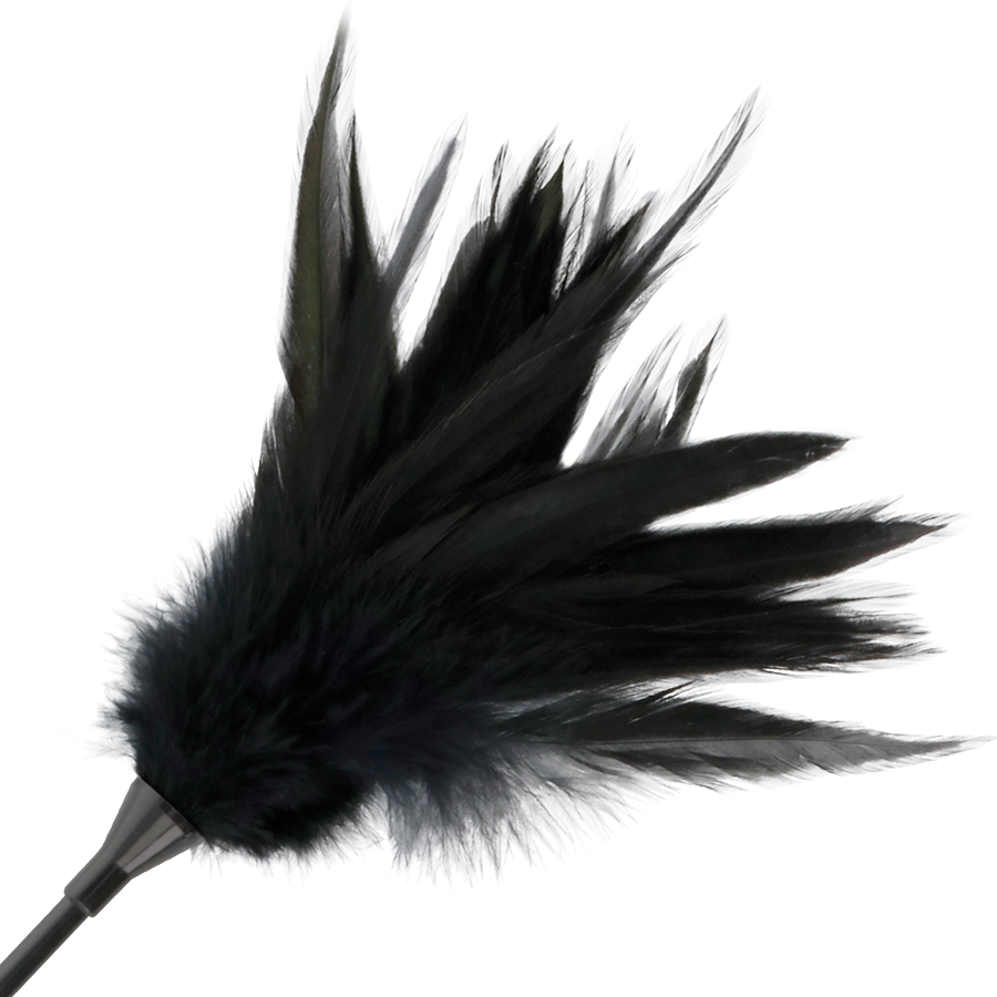 Darkness Black Feather Whip - Fusta con Pluma Negra