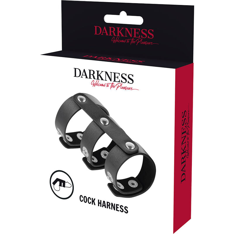 Darkness Adjustable Leather Double Penis and Testicle Ring
