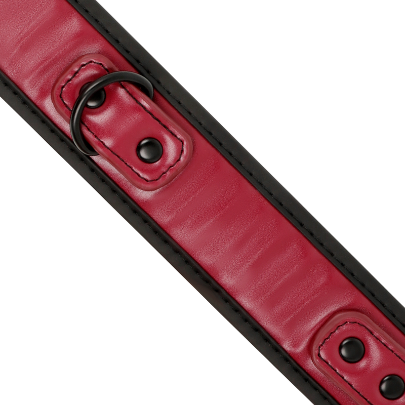 Collar Cadena Neopreno Fetish Submissive Dark Room