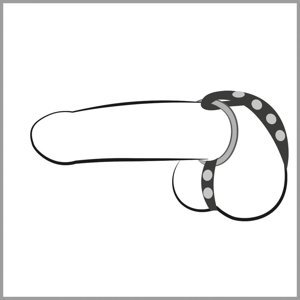 Leather Strap Bad Kitty - Correa de Cuero Ajustable con Anillos Intercambiables