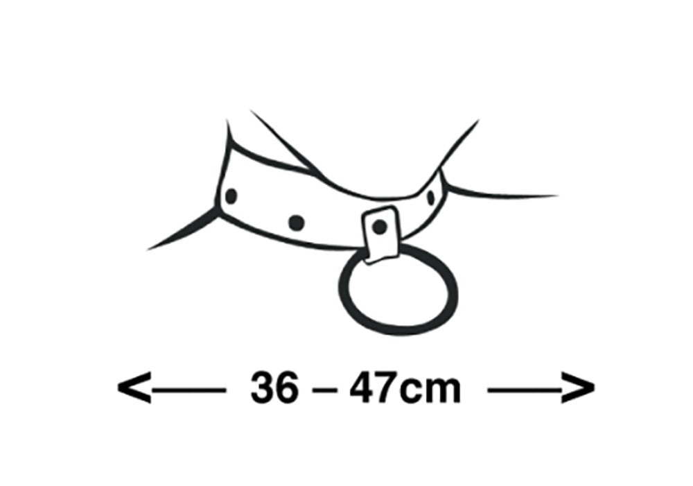 Collar de Cuero ZADO con Cadenas Metálicas Ajustable