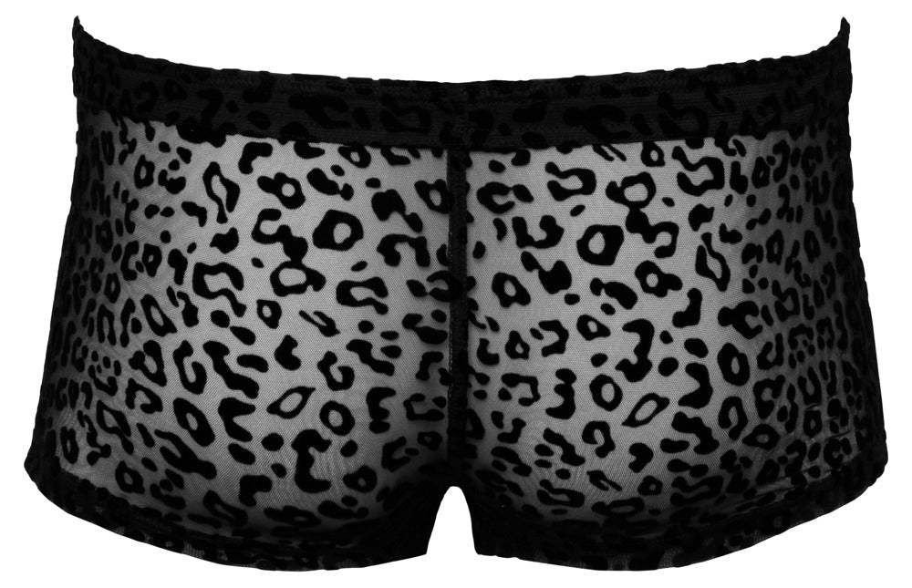 Noir M.Pants Leo 2XL - Pantalones Transparentes con Estampado Leopardo