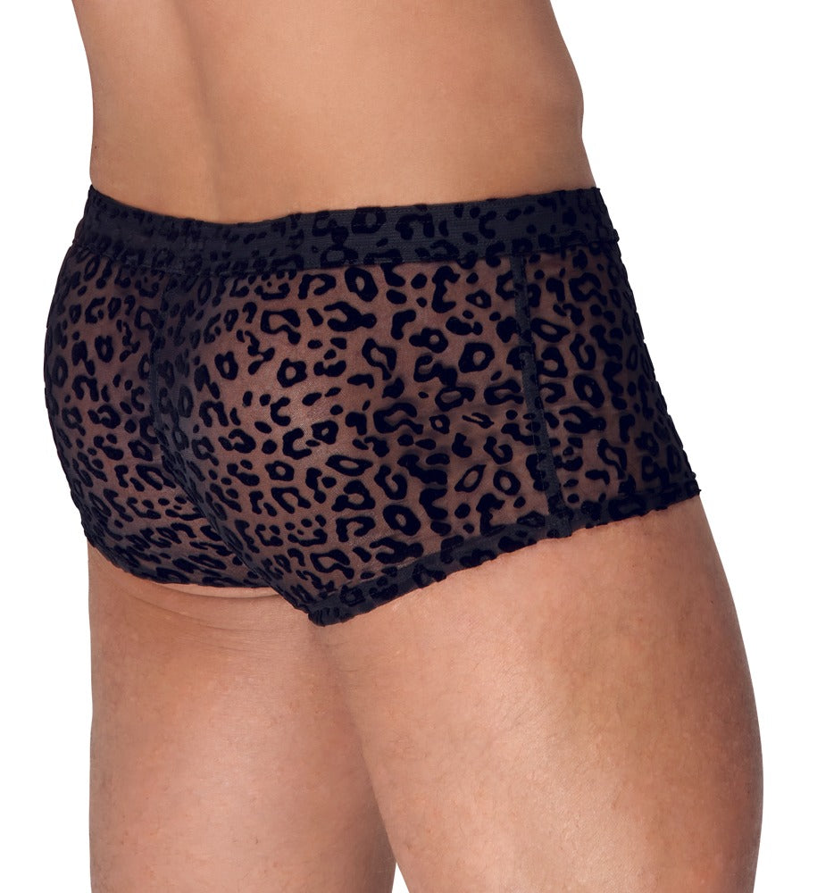 Noir M.Pants Leo 2XL - Pantalones Transparentes con Estampado Leopardo