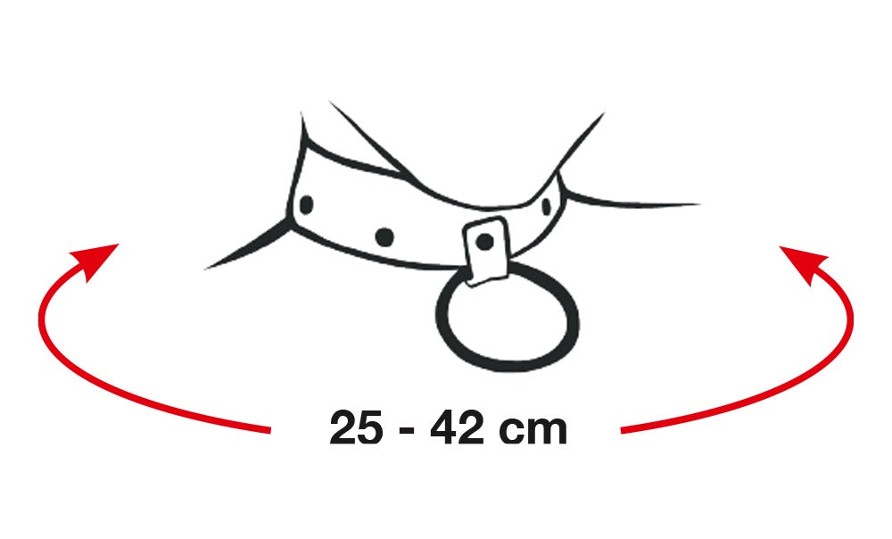 Rhinestone Choker Bad Kitty - Collar de Pedrería Ajustable