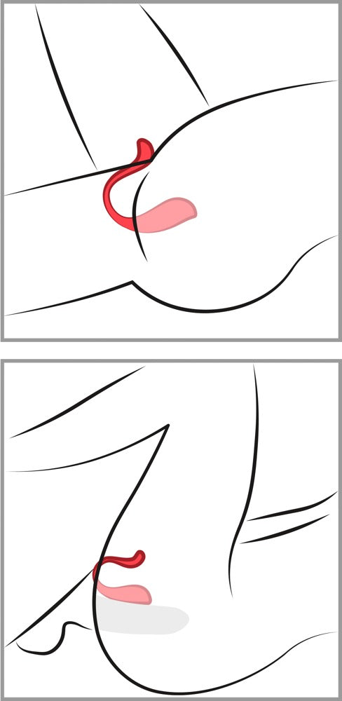 Phoenix Neo 2 - Huevo Vibrador Recargable de SVAKOM