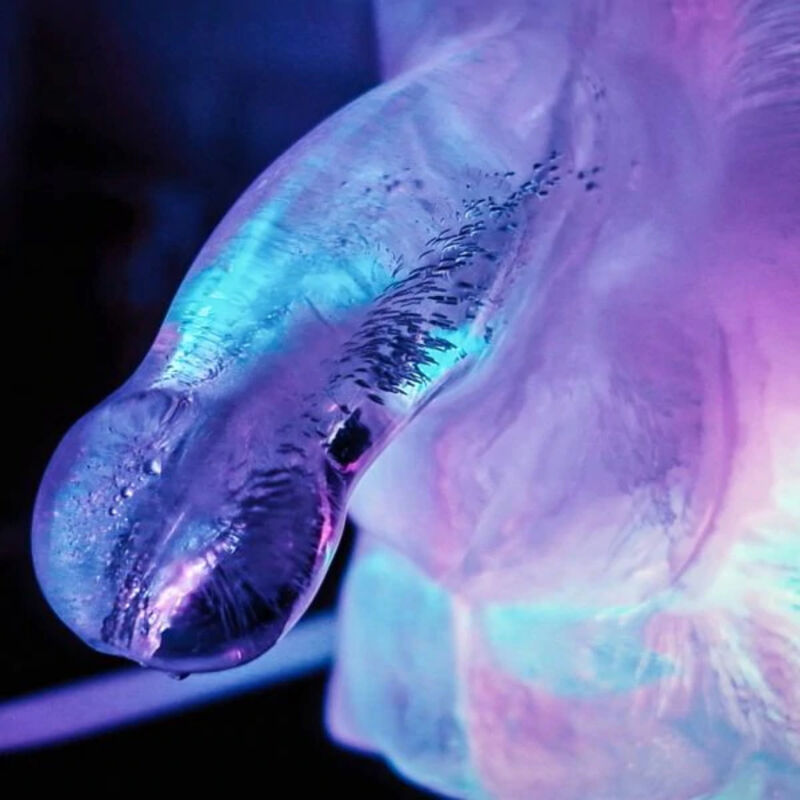 Molde para Hielo Novelty Play Wiv Me