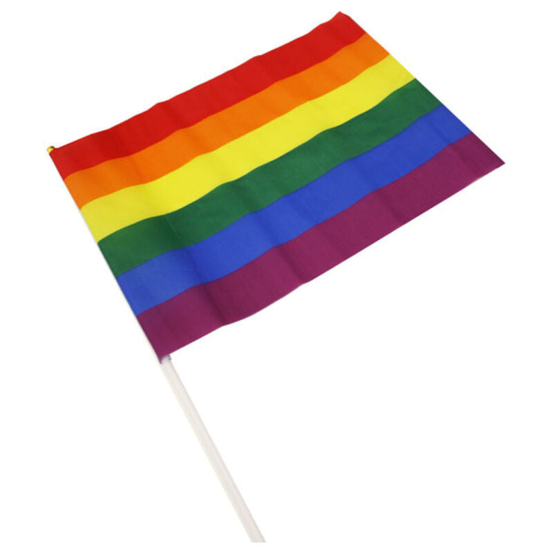 Bandera LGBT Medium Pennant Pride