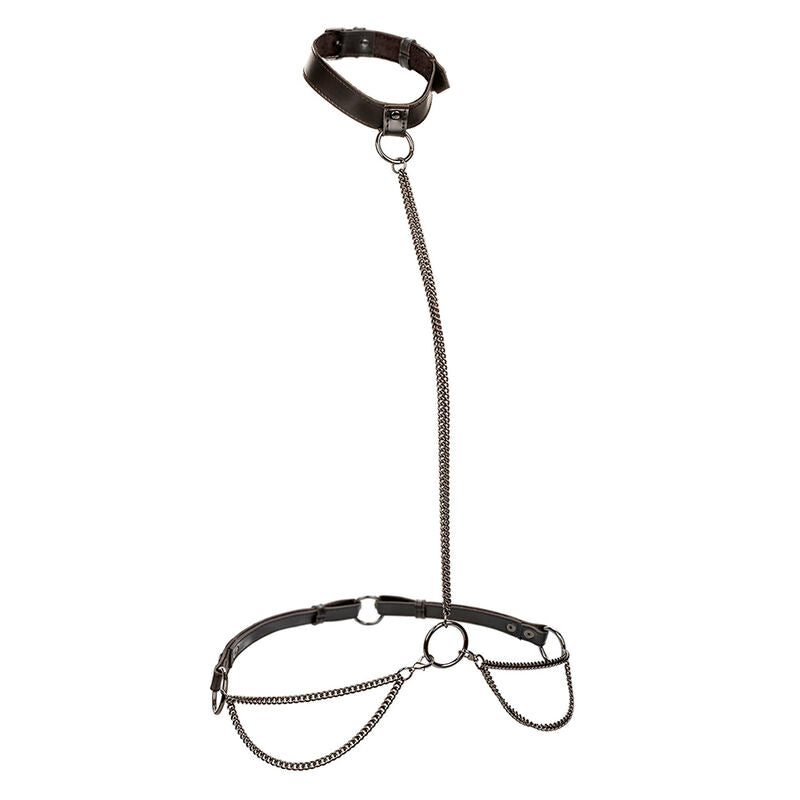 Euphoria Chain Halter Collar & Leash - Collar Estilo Halter con Correa de Cadena