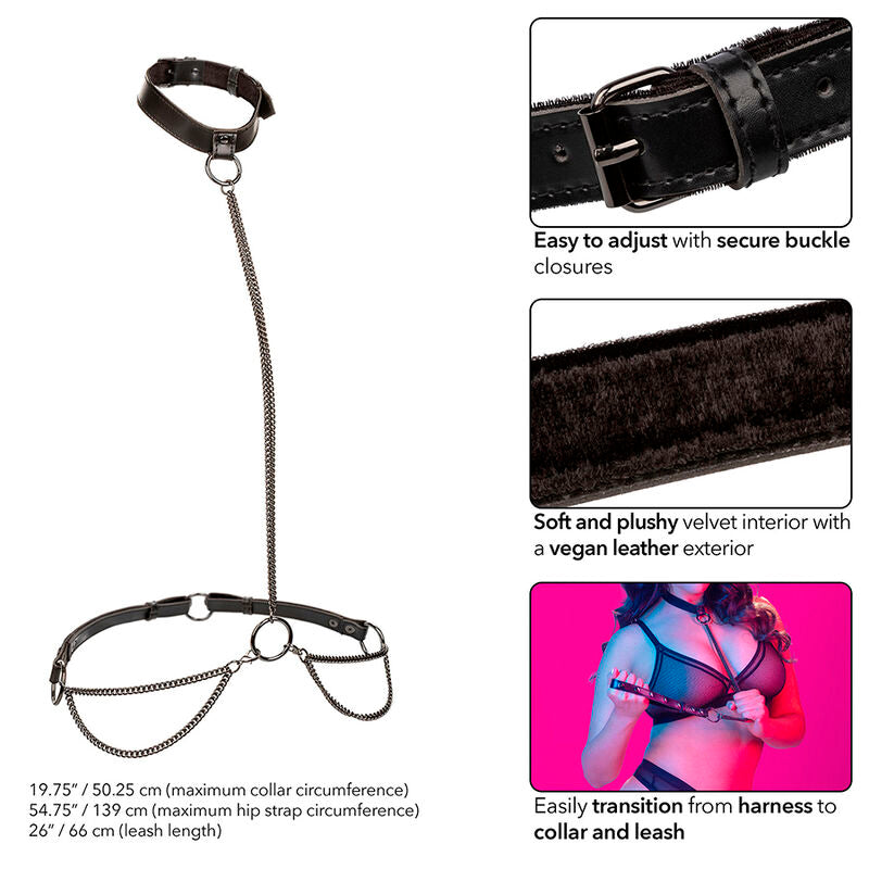 Euphoria Chain Halter Collar & Leash Plus Size - CalExotics