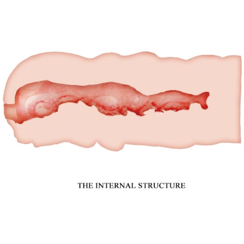 CRAZY BULL Isabel Masturbador Vagina 13.5 cm